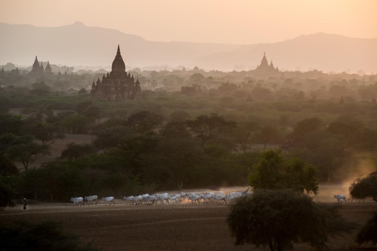 2015-02-12-Myanmar-220.jpg