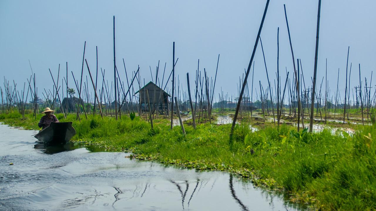 2015-02-16-Myanmar-428.jpg