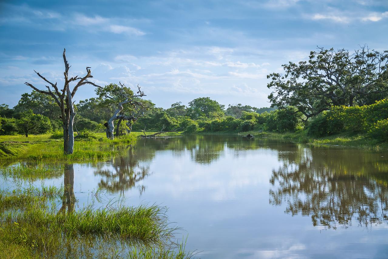 2016-01-04-Sri-Lanka-52-Edit.jpg